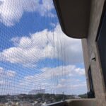 safety net